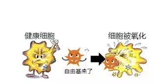 7.webp.jpg