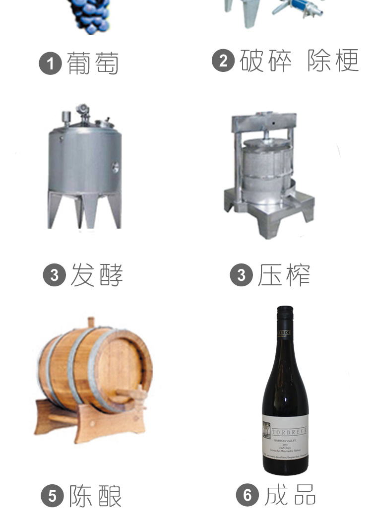萄贝老藤_12.jpg