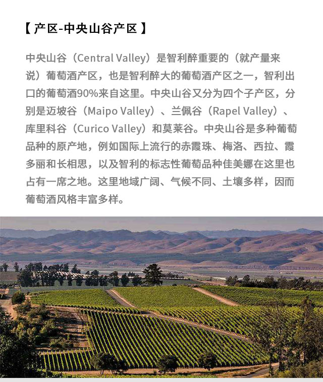 国王经典级梅洛干红187ml_07.jpg