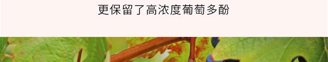 换标款红丝泡金色_27.jpg