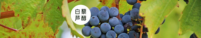 换标款红丝泡金色_28.jpg