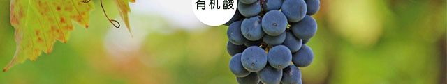 换标款红丝泡金色_30.jpg