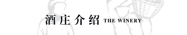 换标款红丝泡金色_46.jpg