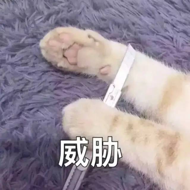 6405.jpg