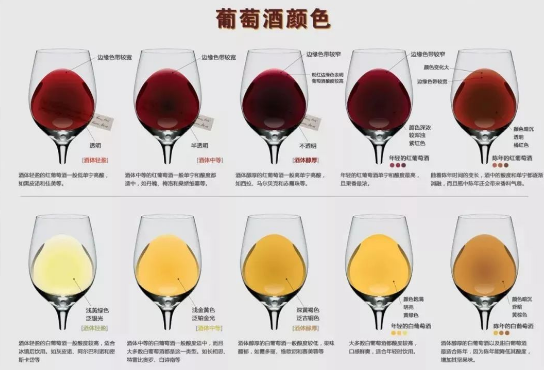 微信图片_20230720093817.png