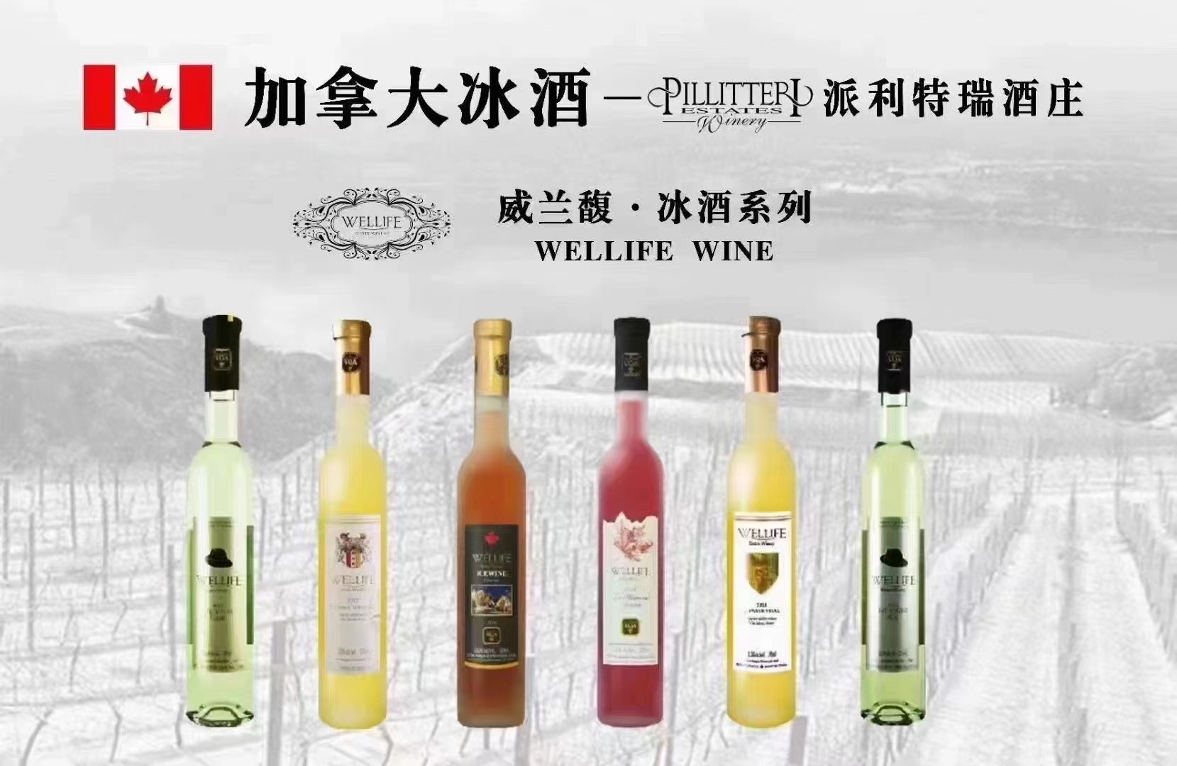 微信图片_20230921102649.jpg