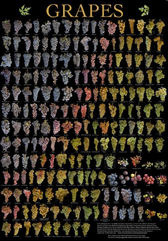 640 (56).jpg